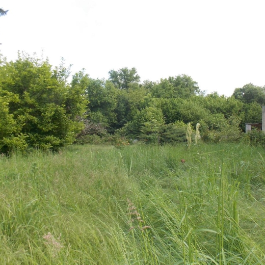  Aubusson Immobilier : Maison / Villa | SAINT-MEDARD-LA-ROCHETTE (23200) | 175 m2 | 115 500 € 