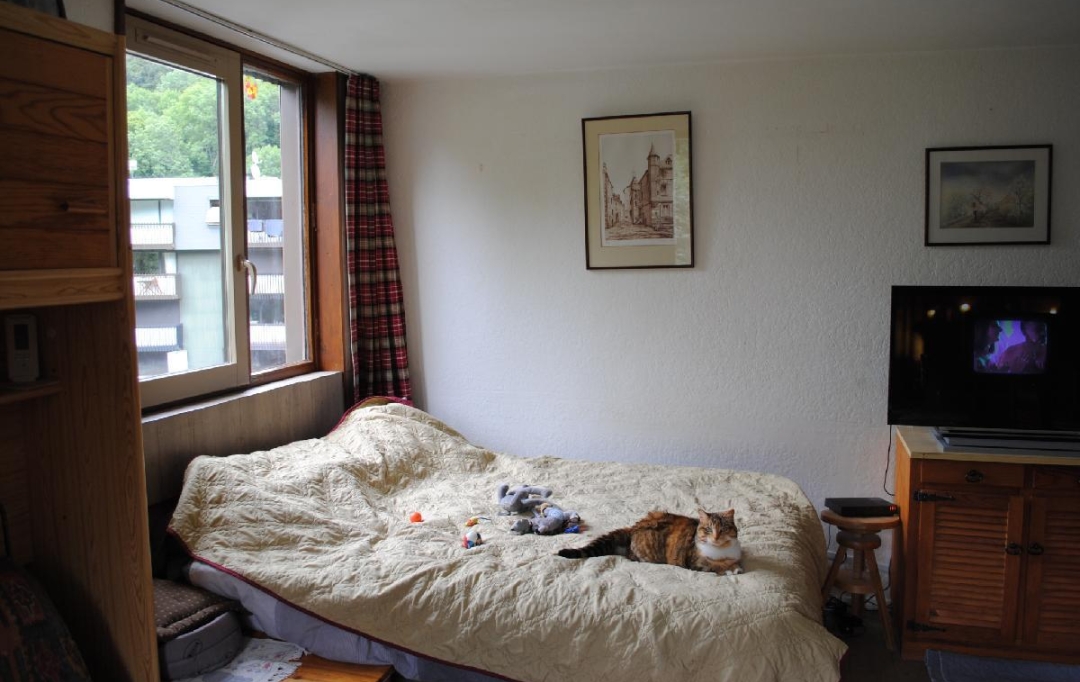 Aubusson Immobilier : Appartement | MONT-DORE (63240) | 30 m2 | 71 500 € 